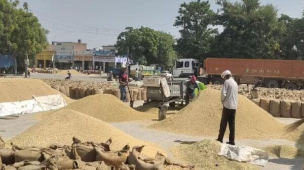 20 लाख क्विंटल धान खरीद बाकी