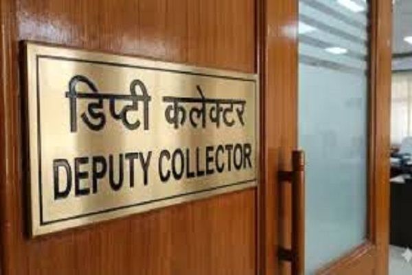 deputy collector