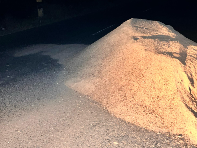 प्रतीकात्मक तस्वीर