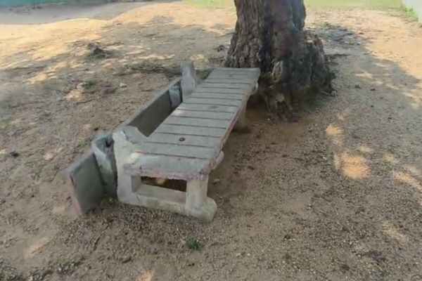 Bench scam