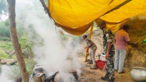 Java Mahua seized