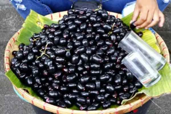 Jamun