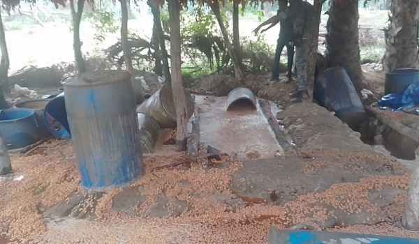 Hazaribagh: Major action by the Excise Department, 8800 kg of Java Mahua destroyed, 1200 liters of illegally brewed liquor seized.