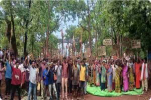 chaaibasaa news