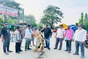 chaibasa pradarshaan