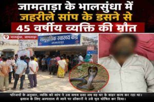 jamtara snake news