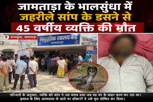 jamtara snake news