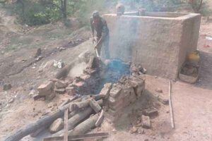 mahua destroyed