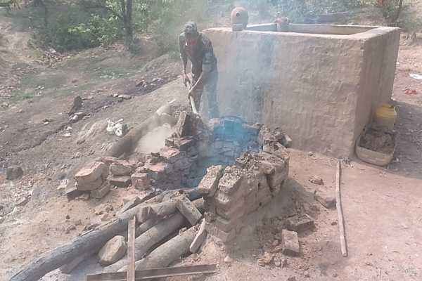 mahua destroyed