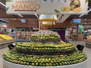 Jharkhand's mangoes make their mark in Dubai: The hard work of women farmers from Deoghar-Gumla reaches foreign markets