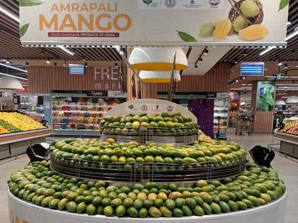 Jharkhand's mangoes make their mark in Dubai: The hard work of women farmers from Deoghar-Gumla reaches foreign markets