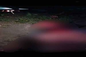 सड़क दुर्घटना