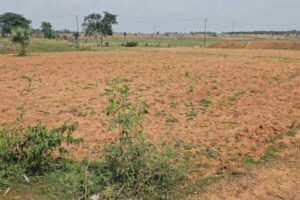 बारिश के इंतजार में किसान