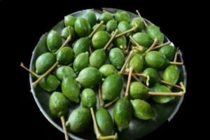 Bagnaihi (Waghati)