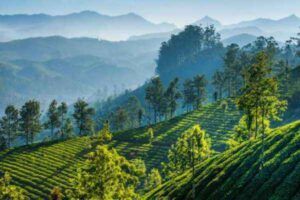 Best time to visit Kashmir
