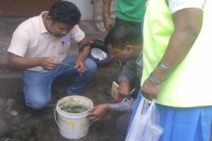 In Ranchi, 166 houses were inspected and dengue larvae were found in 29 houses and 38 utensils.