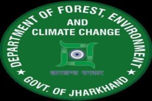 forest department