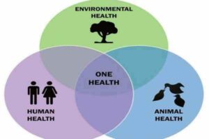 Jharkhand implements 'One Health Mission'; joint monitoring of diseases spreading among humans and animals