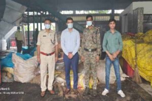 खूंटी पुलिस ने 22 लाख का 14 क्विंटल से अधिक डोडा किया नष्ट