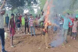 DFO का पुतला दहन कर विरोध जताते ग्रामीण
