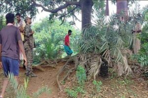 पेड़ से लटकता मिला शव