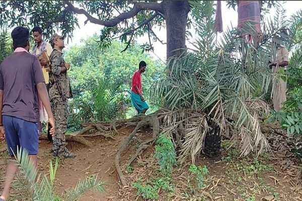 पेड़ से लटकता मिला शव