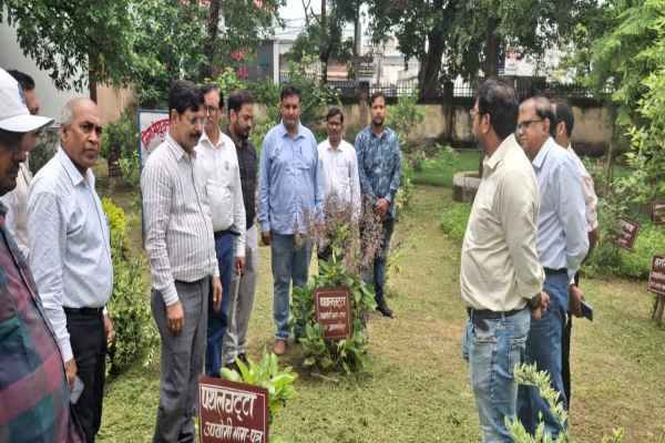 हर्बल गार्डन ने जीता निदेशक का दिल