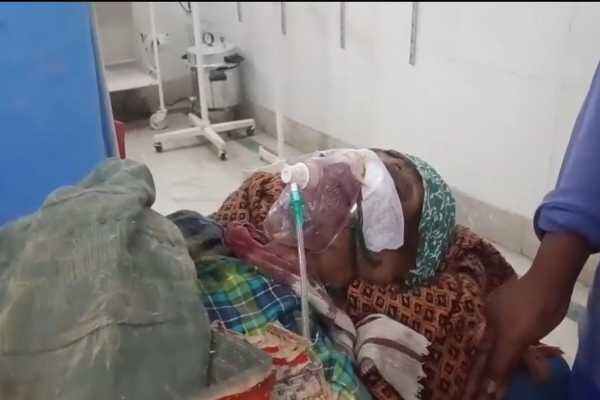 भालुओं के हमले में घायल बुजुर्ग