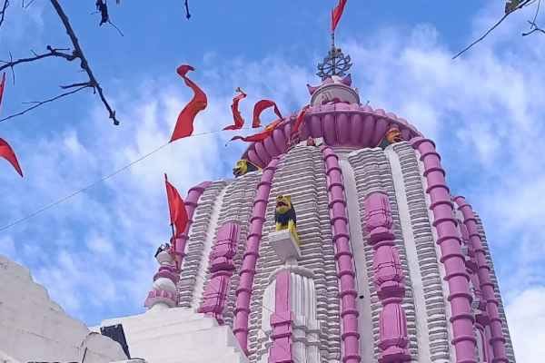 Ocean of devotion: Devotees blessed by glimpse of Lord Jagannath after eye donation, Lord Jagannath will depart for Mausibari tomorrow