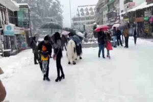 Manali