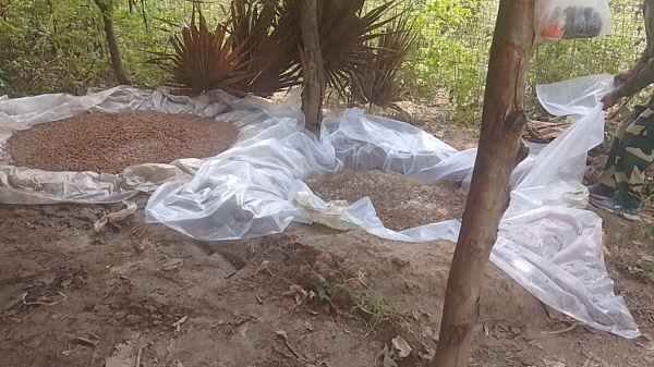 Hazaribagh: Excise department takes major action in border areas, demolishes 10 illegal liquor distilleries, destroys 11,500 kg of Java Mahua