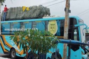buses