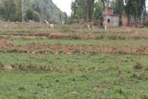 कम बारिश ने किसानों की बढ़ाई चिंता, धान की रोपनी पर संकट के बादल