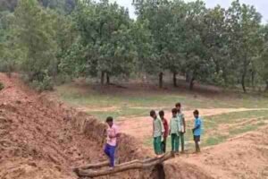 वन विभाग