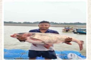 कोनार डैम से निकली 42 किलो की विशालकाय मछली, देखने उमड़ी भीड़
