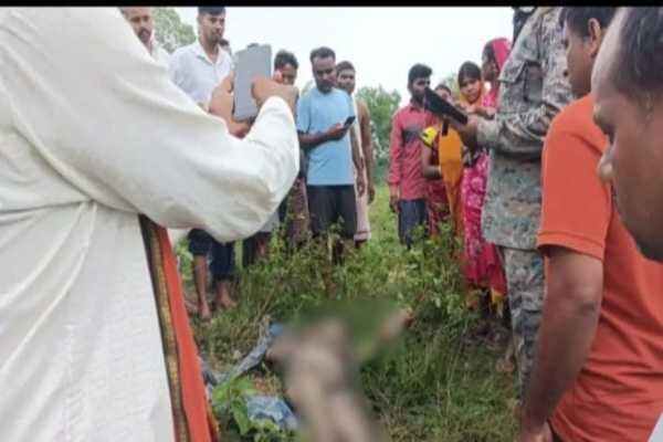 जंगली हाथियों का हमला