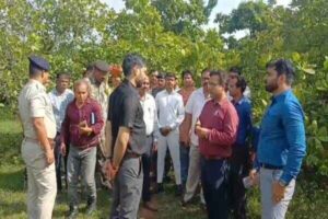 Jamtara