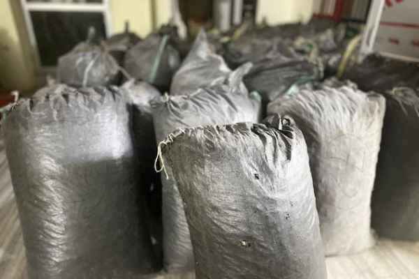 illegal poppy straw seized