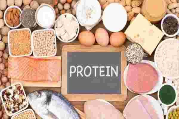 protein
