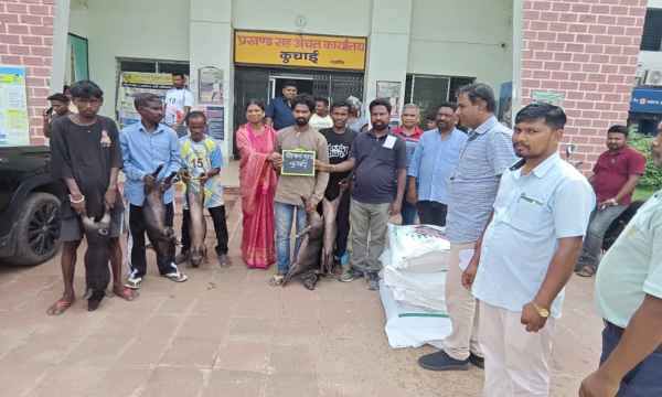 Saraikela: Pigs distributed among 5 beneficiaries under the Chief Minister's Animal Husbandry Development Scheme, emphasis on empowerment of livestock farmers
