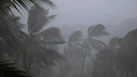 Weather