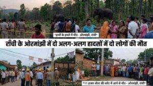Two people died in separate incidents in Ranchi's Ormanjhi: one was trampled by an elephant, while the other was electrocuted by an 11,000-volt line.