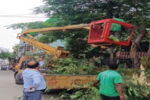 साफ-सुथरा और आकर्षक बना पार्क