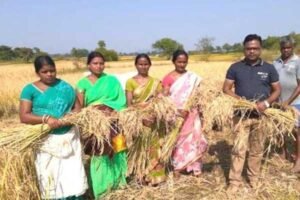 आधुनिक खेती से बदली किस्मत