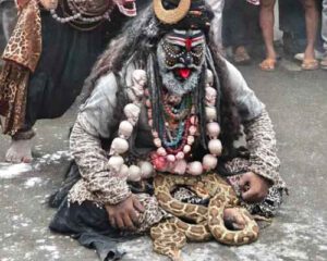 Pythons Displayed During Religious Event, Forest Department Rescues Two Indian Rock Pythons.