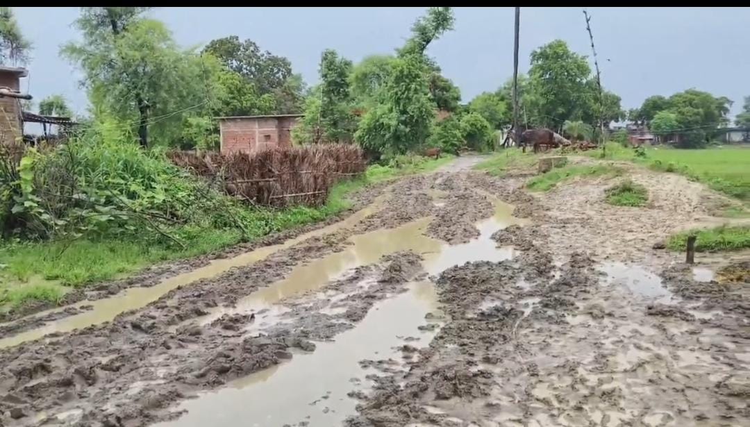 Palamu: Dilapidated Road becomes a Compulsion for Villagers, Patients to Schoolchildren Face Problems