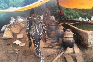 Illicit liquor