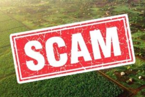 Scam