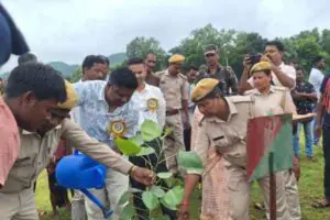 Chaibasa: Forest festival organised in Jomro, villagers pledge to save the forest