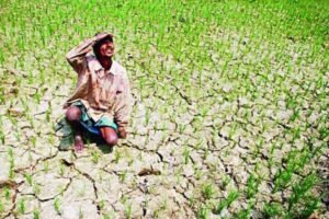 Monsoon's indifference: Rainfall in Jharkhand is below normal in 23 out of 24 districts.